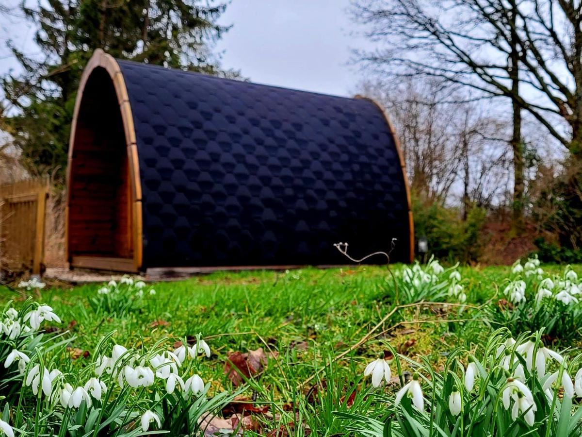 Pods Alte Schule Apartment Elchweiler Exterior foto